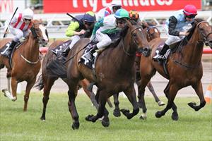 Impressive city debut by Kiwi filly